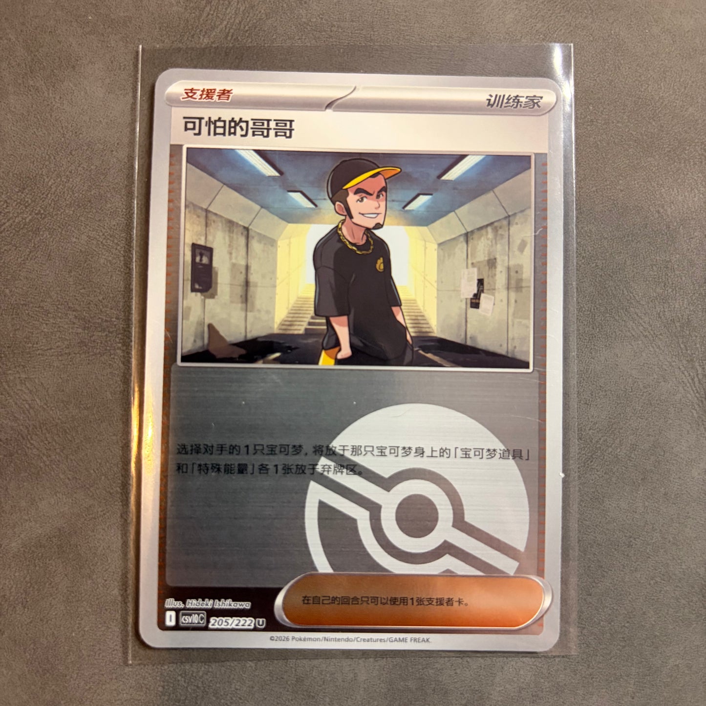 RUFFIAN 205/222 CHINESE CHASING GLORY TOGETHER POKE BALL REVERSE HOLO NM