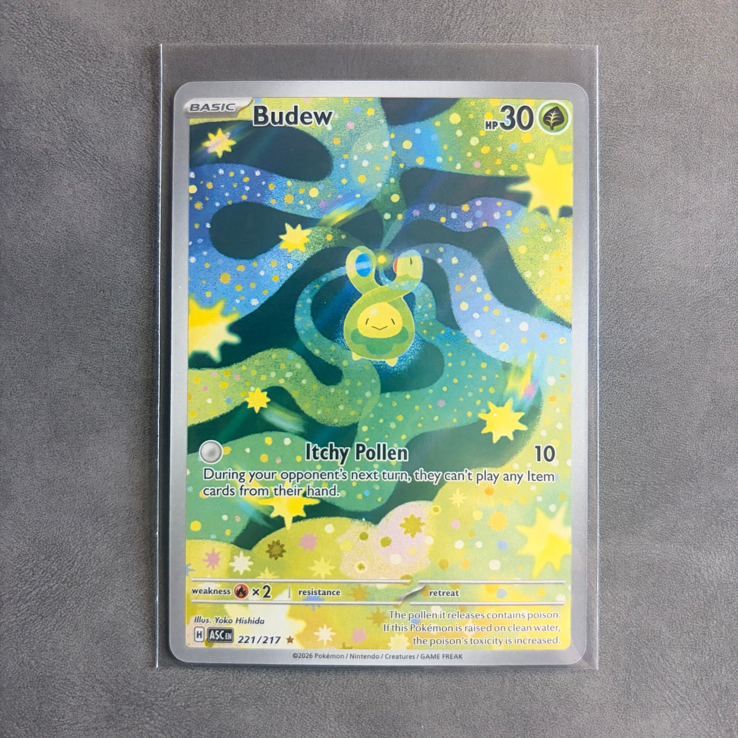 BUDEW 221/217 ASCENDED HEROES ILLUSTRATION RARE HOLO NM